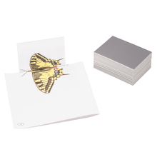 Wissner Spiegel 8,7 x 6,2 cm, Kunststoff, 25 Stück